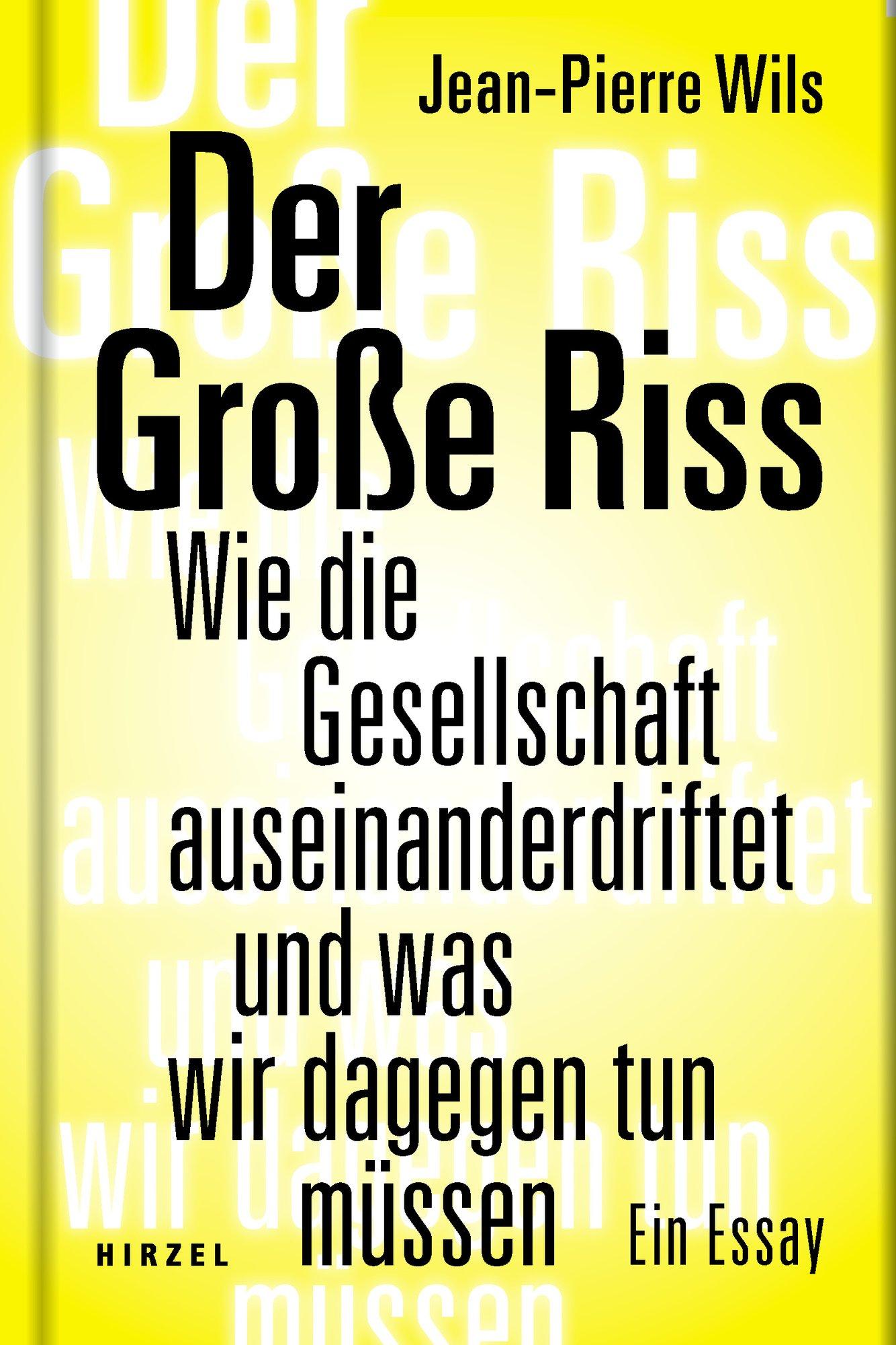 Vorderes Coverbild Der Große Riss
