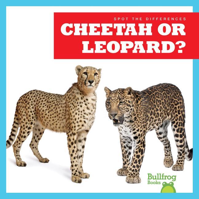 Vorderes Coverbild Cheetah or Leopard?