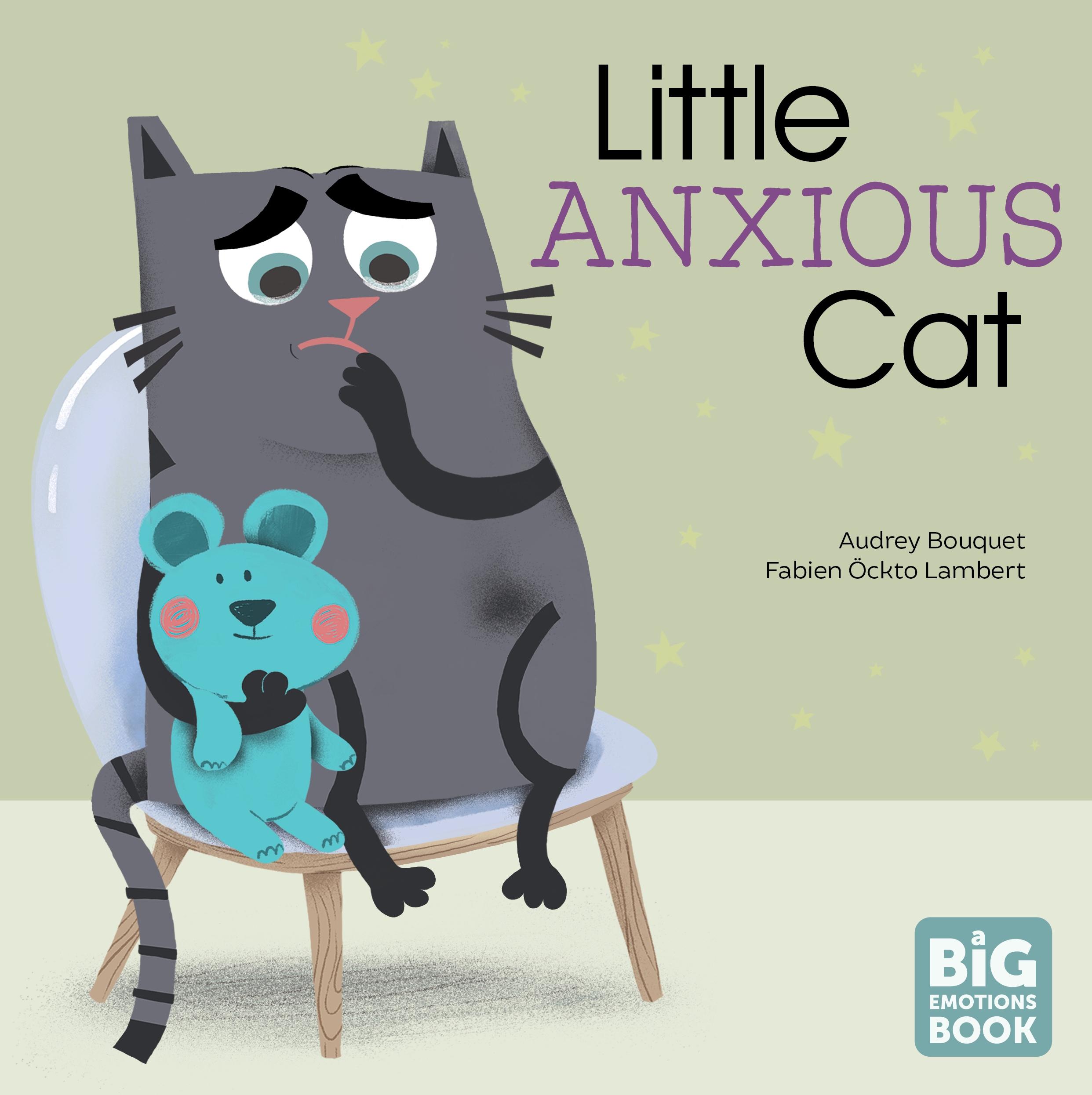 Vorderes Coverbild Little Anxious Cat