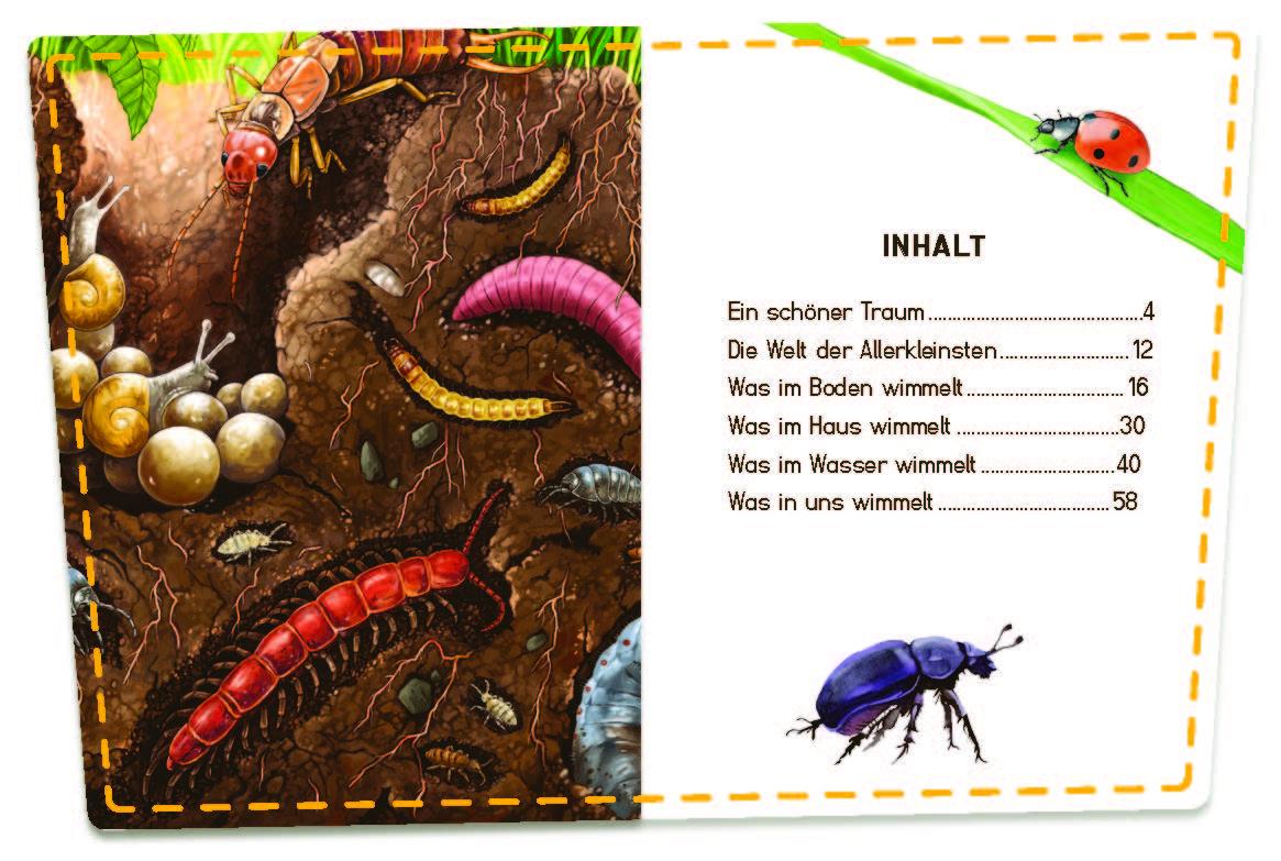 Beispielinhalt (Bild) Klein, Mini, Mikro!