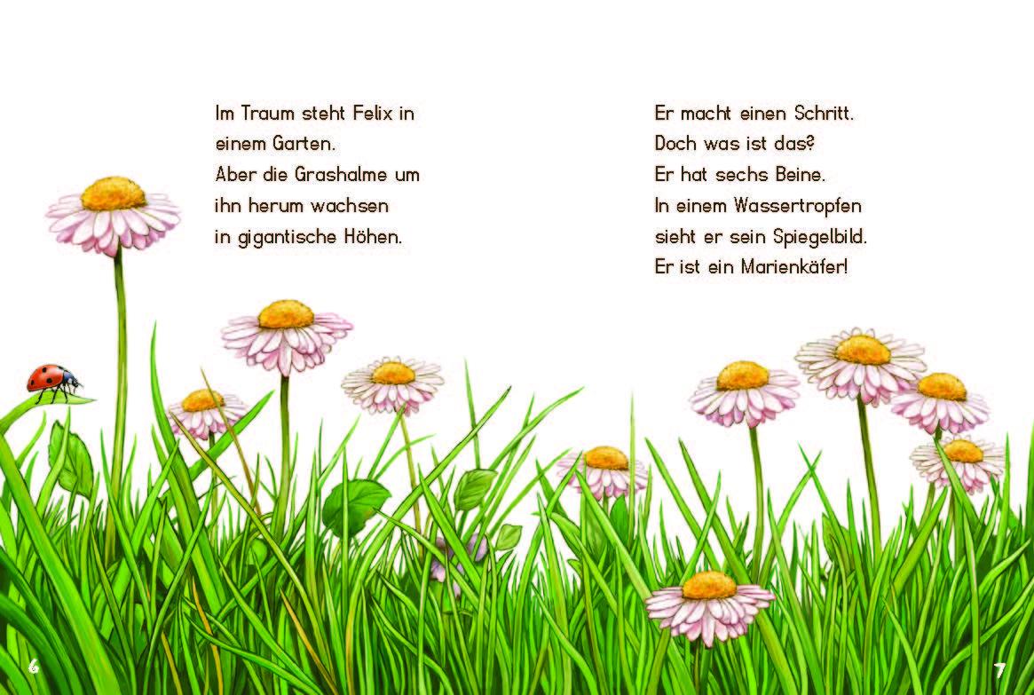 Beispielinhalt (Bild) Klein, Mini, Mikro!