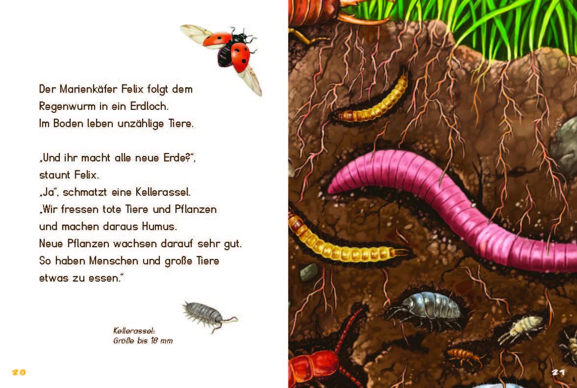 Beispielinhalt (Bild) Klein, Mini, Mikro!