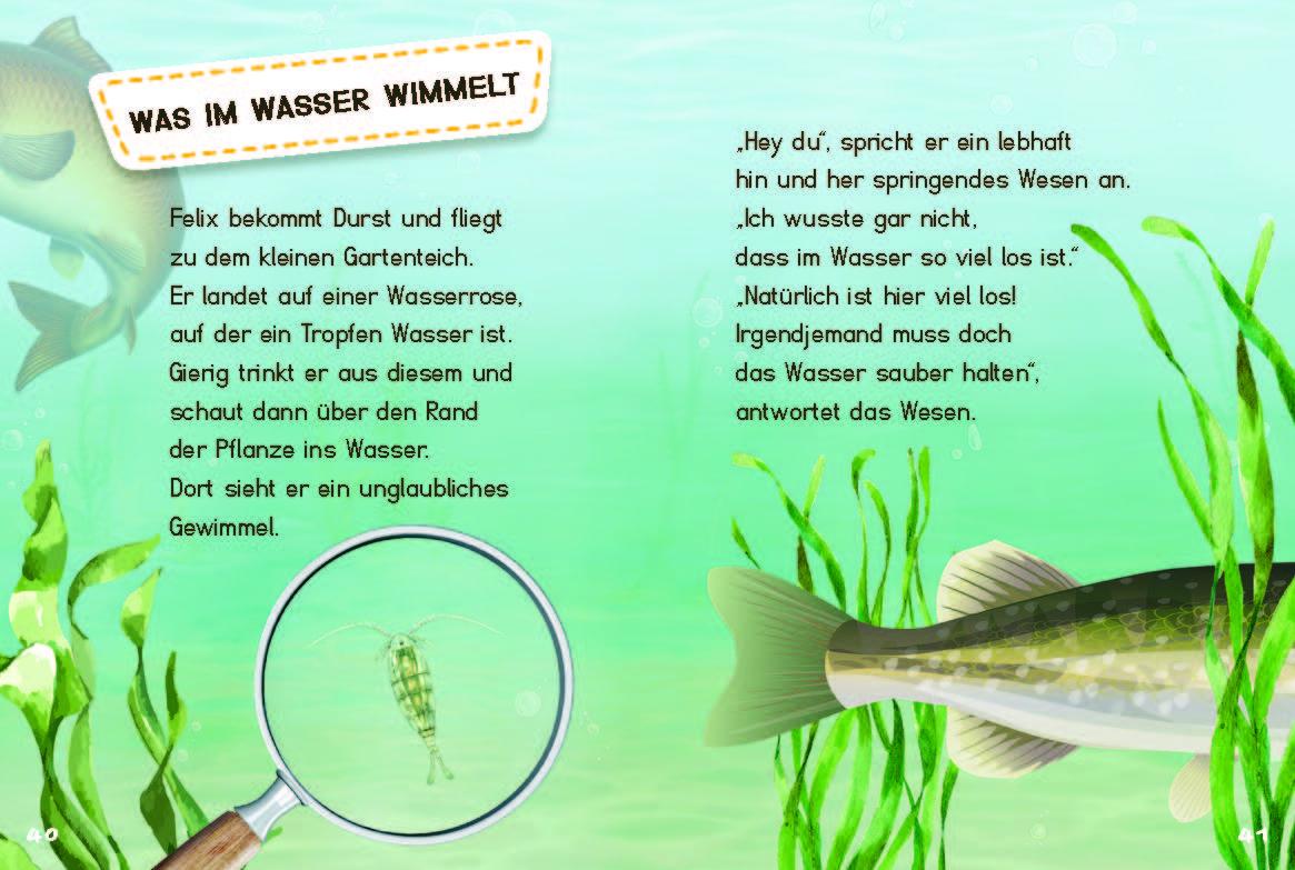 Beispielinhalt (Bild) Klein, Mini, Mikro!