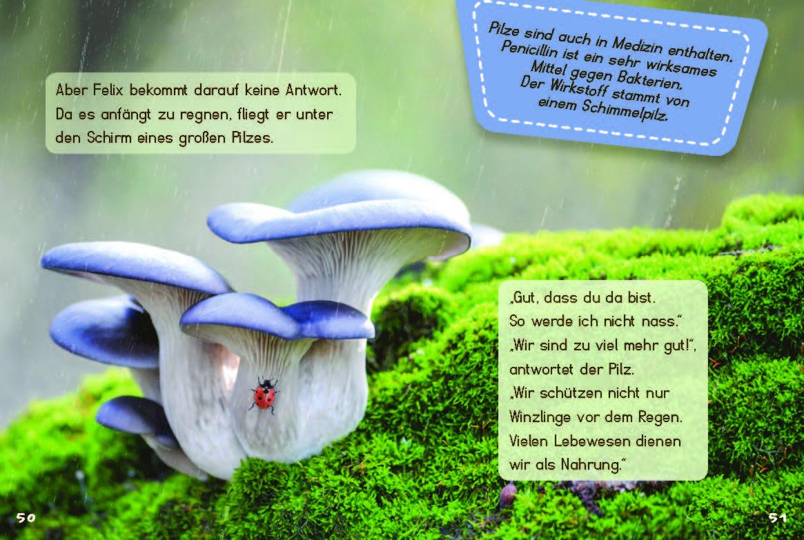 Beispielinhalt (Bild) Klein, Mini, Mikro!