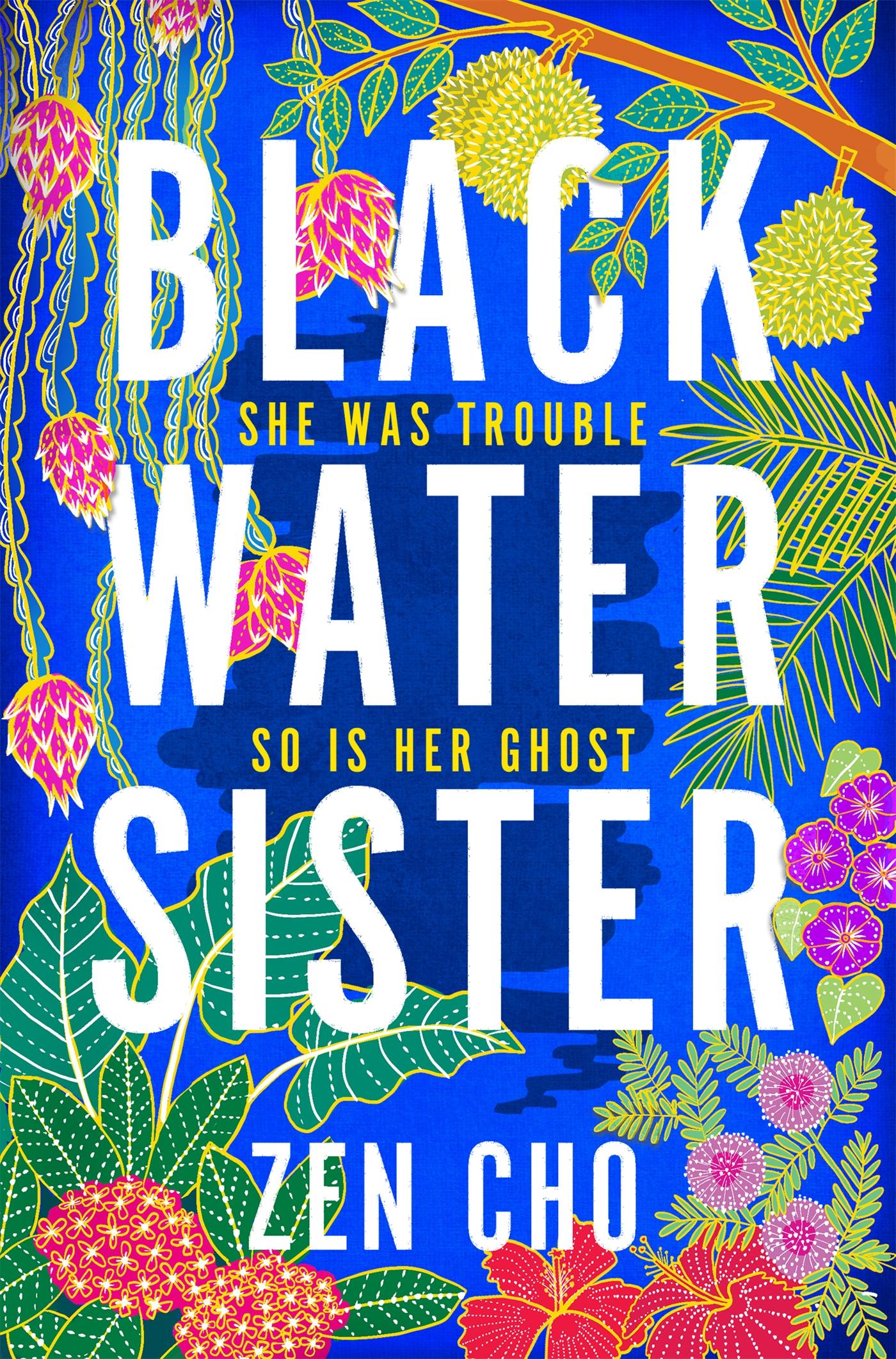 Vorderes Coverbild Black Water Sister