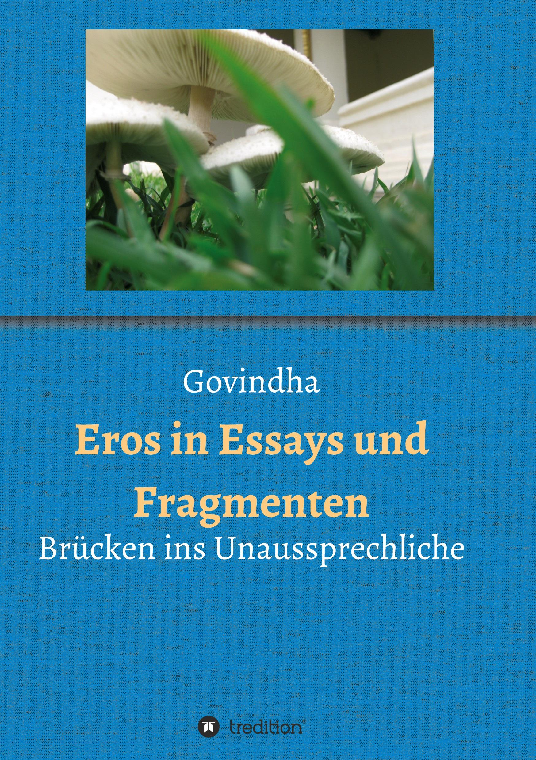 Vorderes Coverbild Eros in Essays und Fragmenten