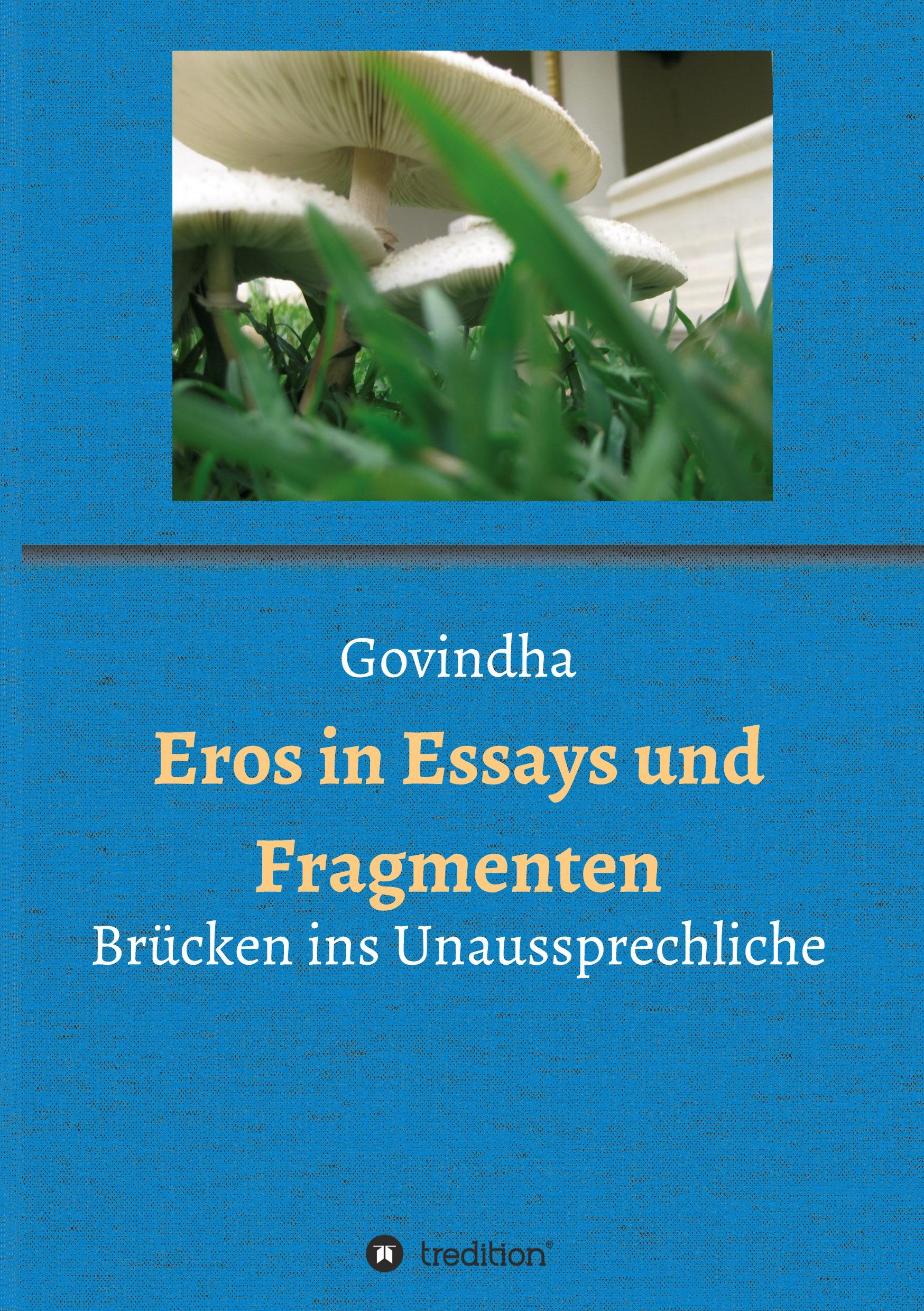 Vorderes Coverbild Eros in Essays und Fragmenten
