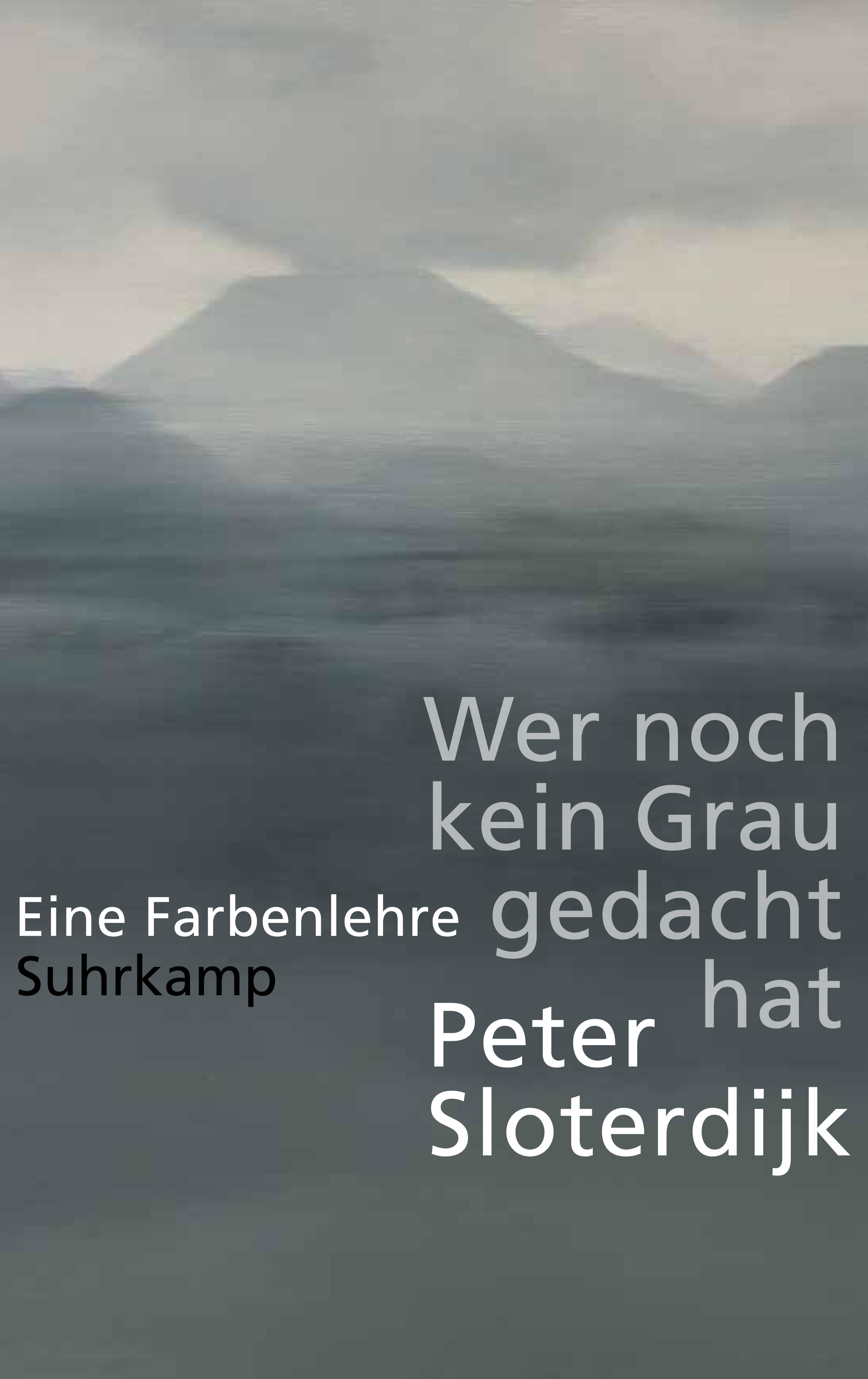Vorderes Coverbild Wer noch kein Grau gedacht hat