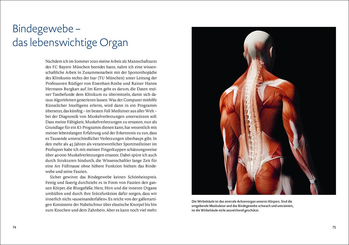 Beispielinhalt (Bild) Bewegung