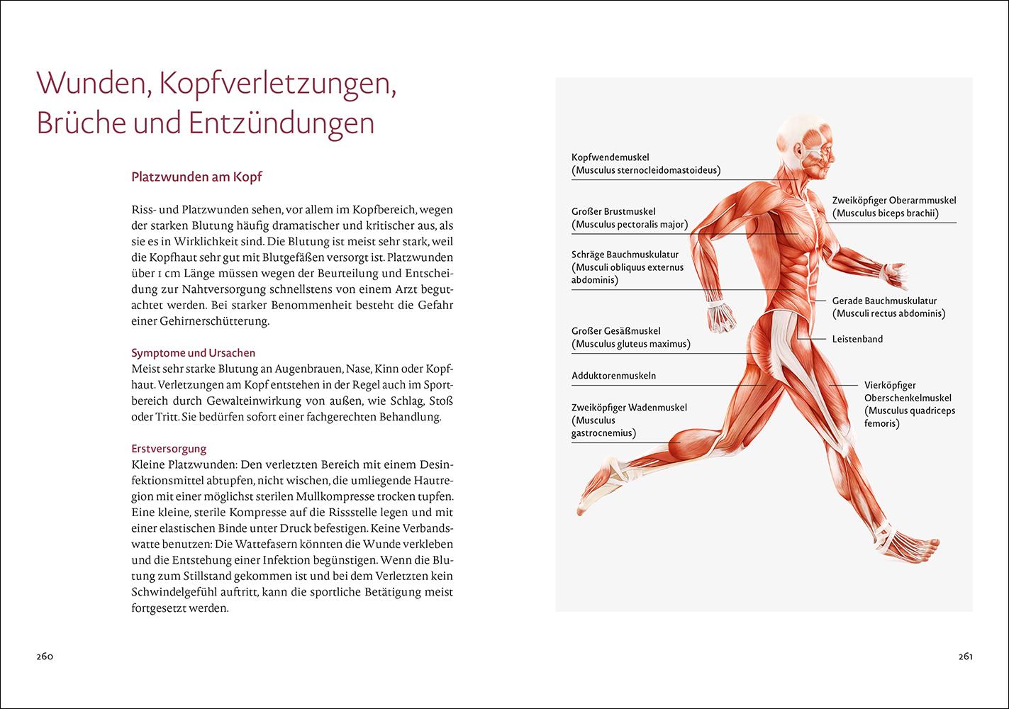 Beispielinhalt (Bild) Bewegung