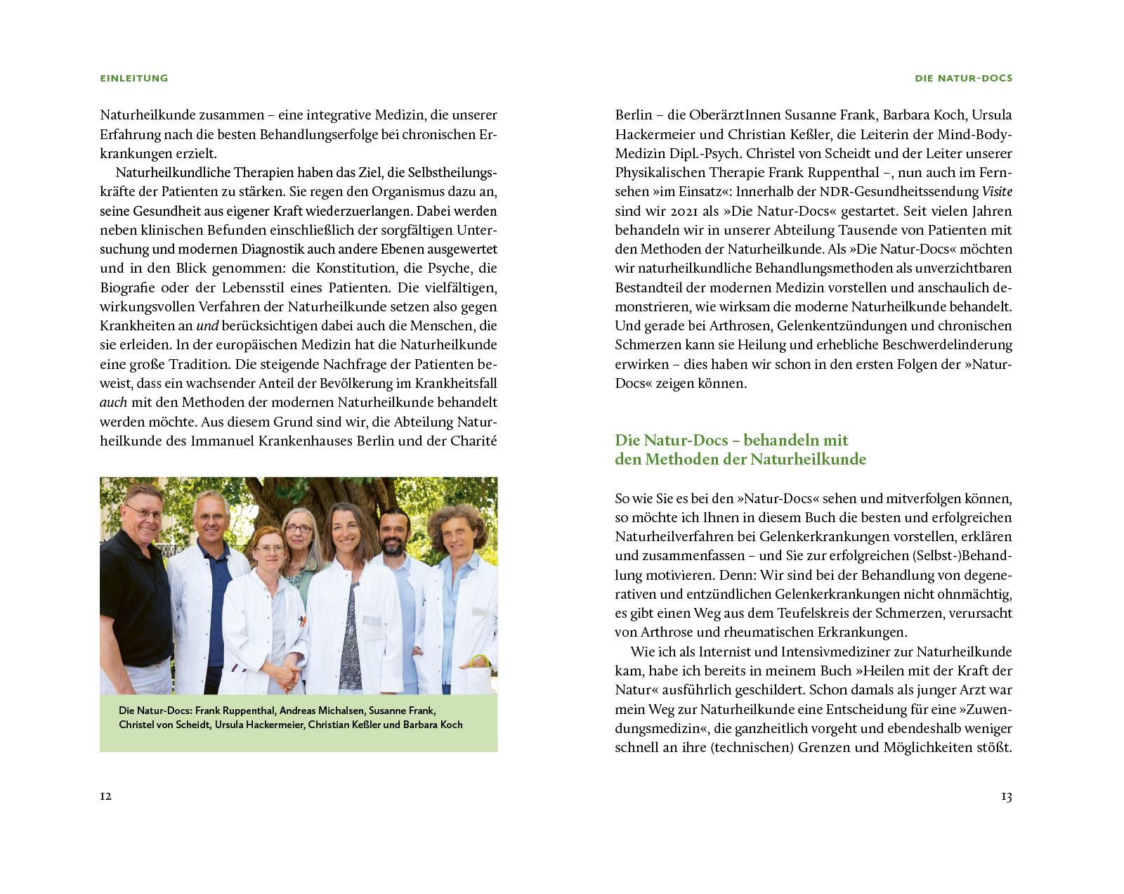 Beispielinhalt (Bild) Die Natur-Docs - Meine besten Heilmittel für Gelenke. Arthrose, Rheuma und Schmerzen