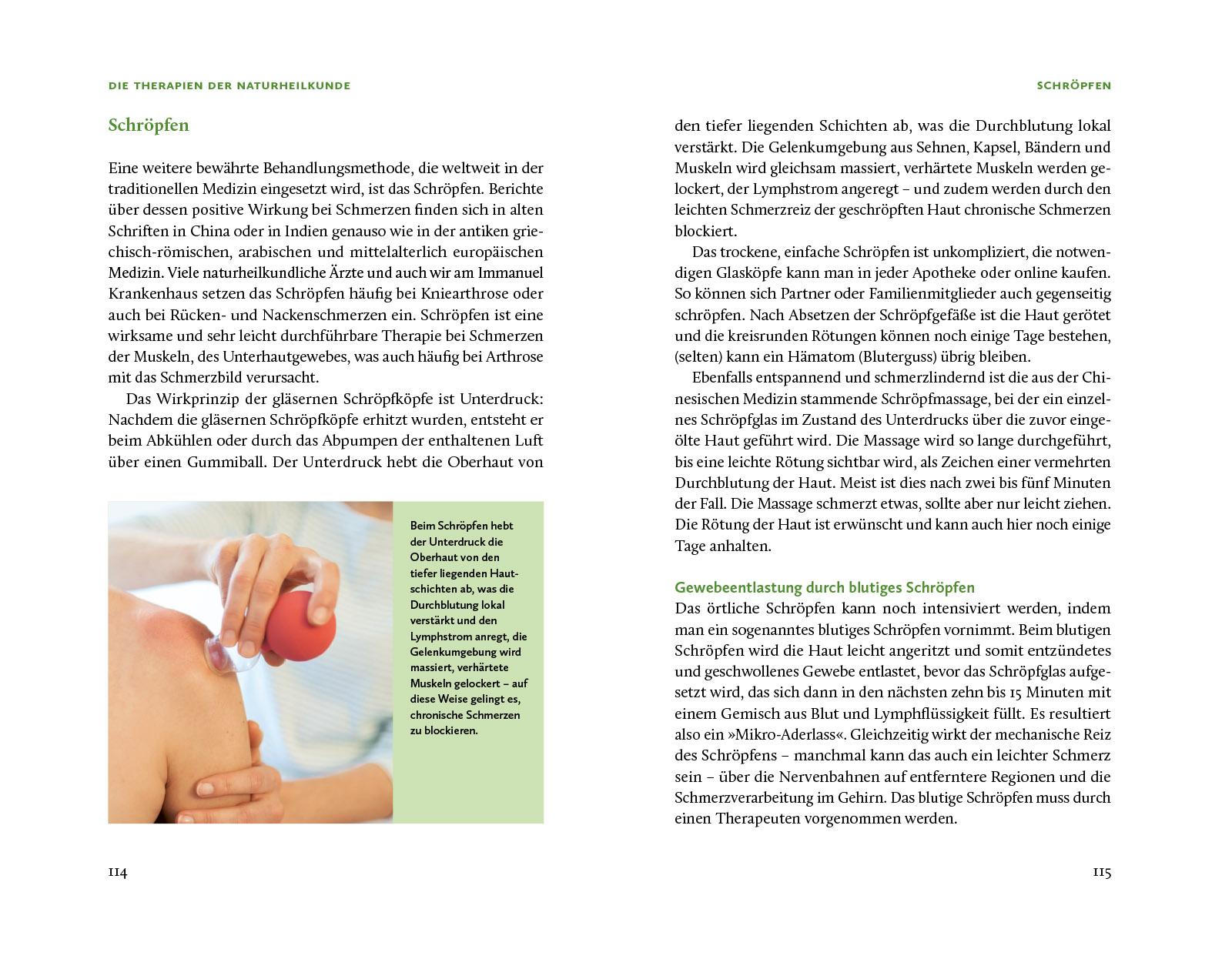 Beispielinhalt (Bild) Die Natur-Docs - Meine besten Heilmittel für Gelenke. Arthrose, Rheuma und Schmerzen