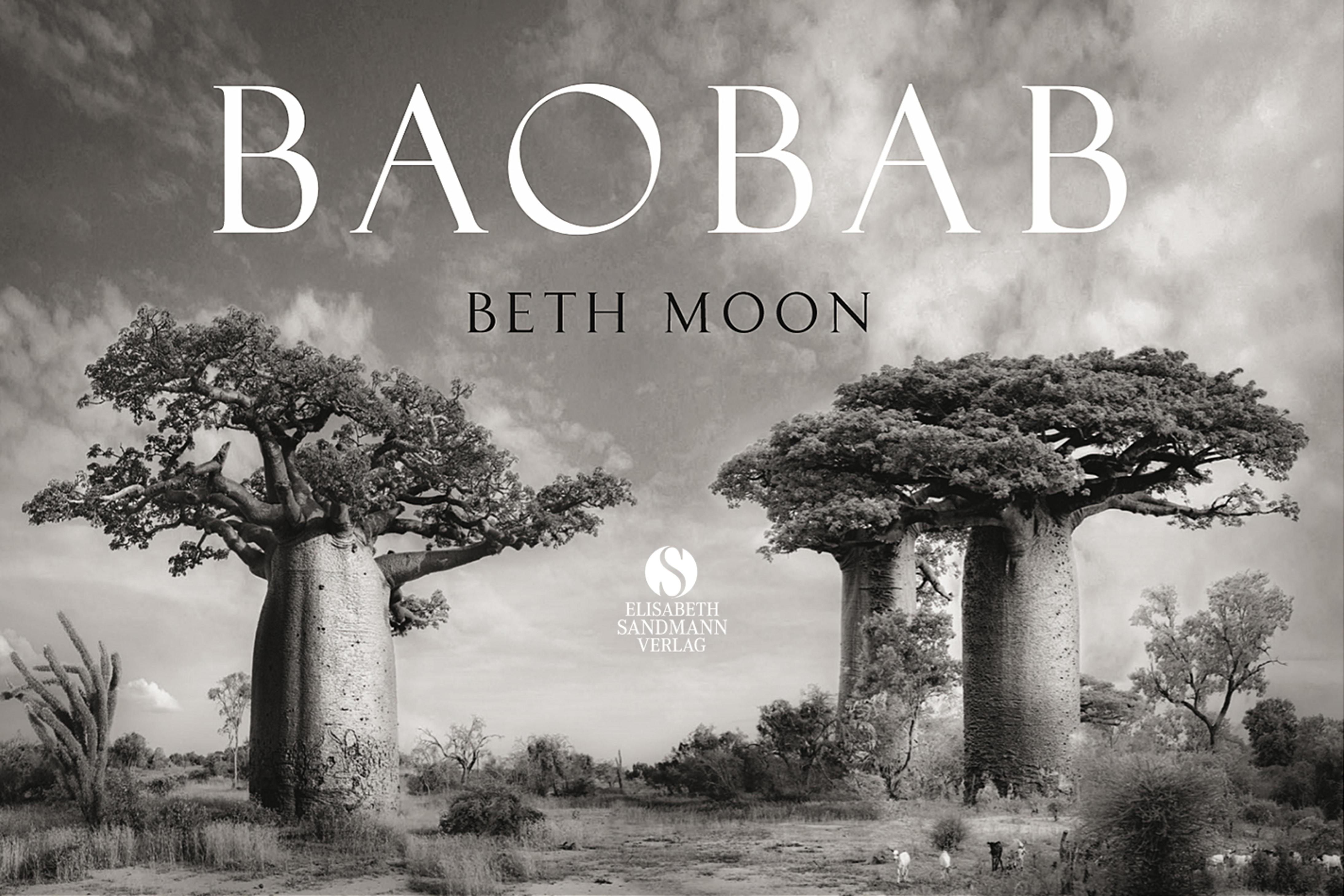 Vorderes Coverbild BAOBAB: Meine Reise zu den ältesten Lebewesen und Waldwächtern