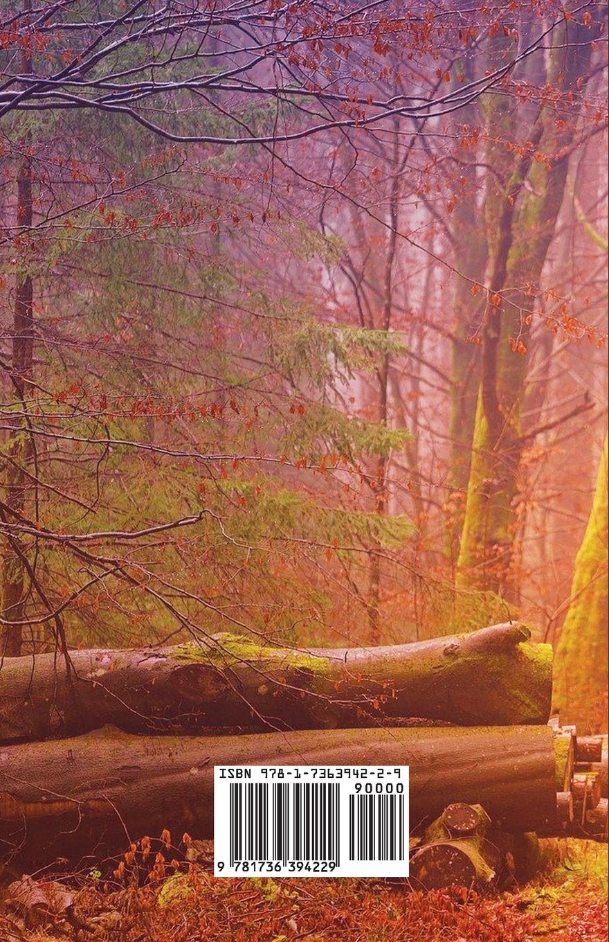 Rückseitencover Siddha Marg Volume 2