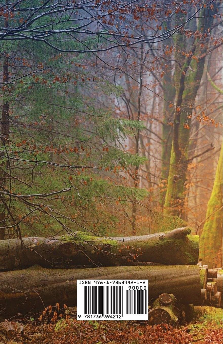 Rückseitencover Siddha Marg Volume 1