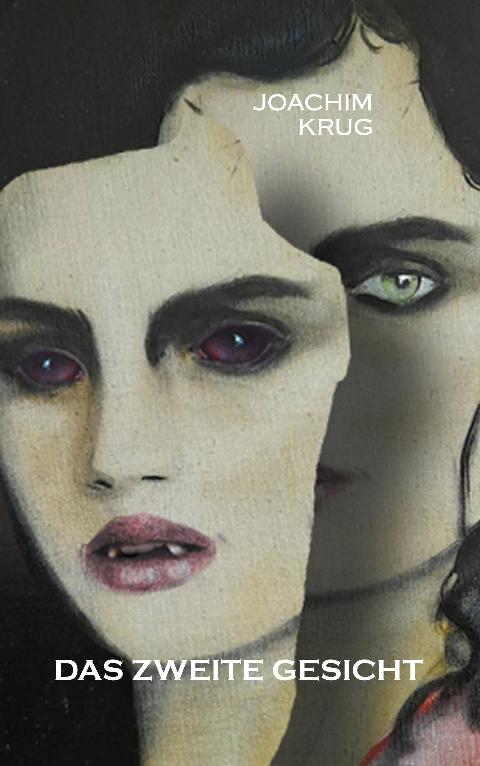 Vorderes Coverbild Das zweite Gesicht