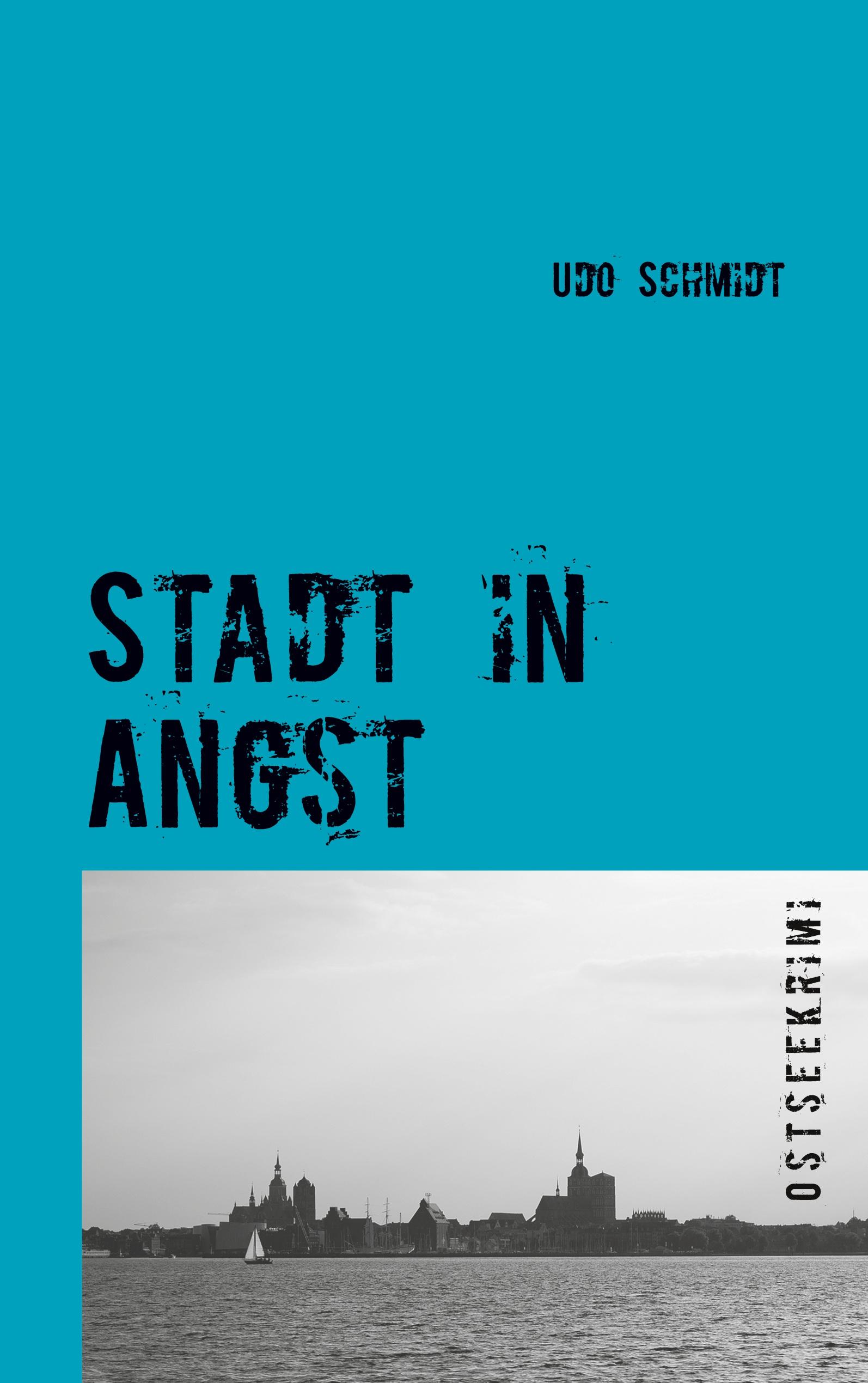Vorderes Coverbild Stadt in Angst
