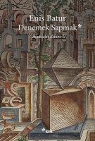 Vorderes Coverbild Denemek Sapmak