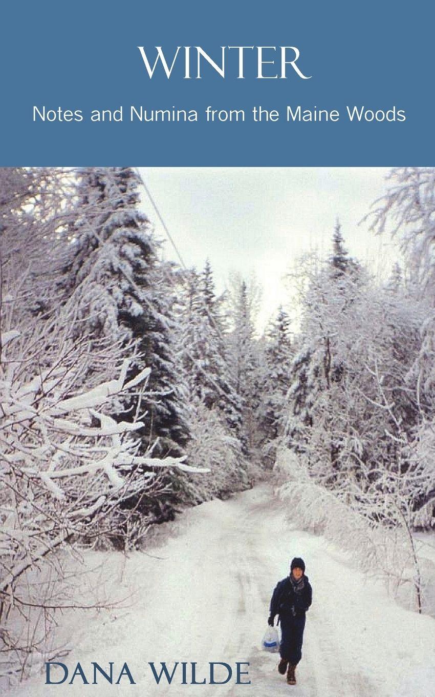 Vorderes Coverbild Winter