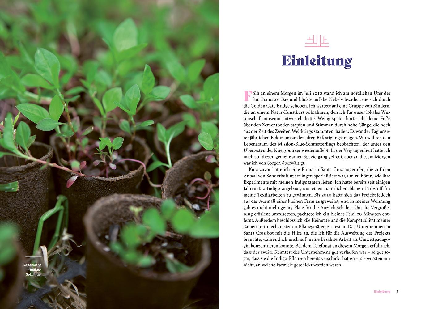 Beispielinhalt (Bild) Was steckt in unserer Kleidung?