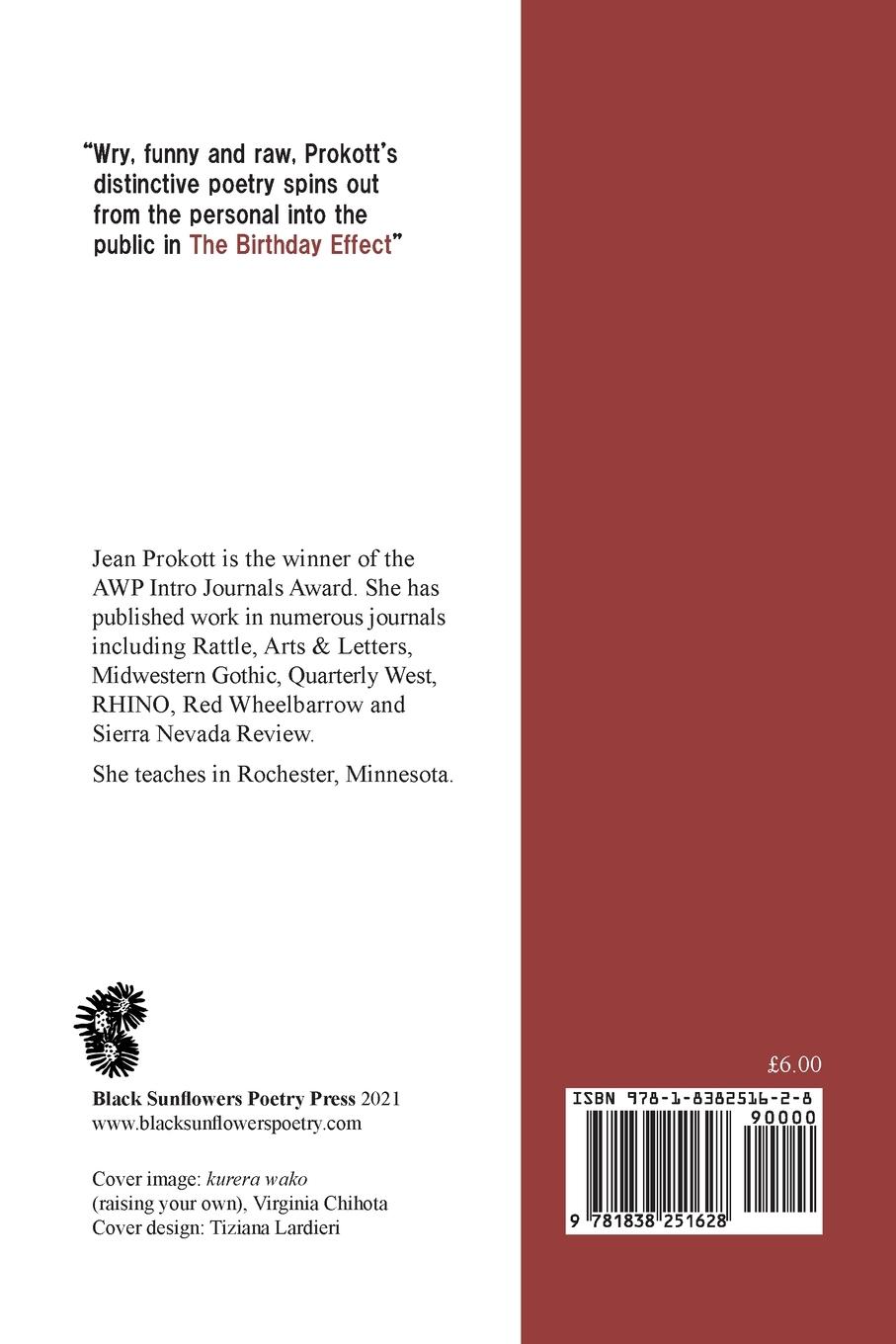 Rückseitencover The Birthday Effect