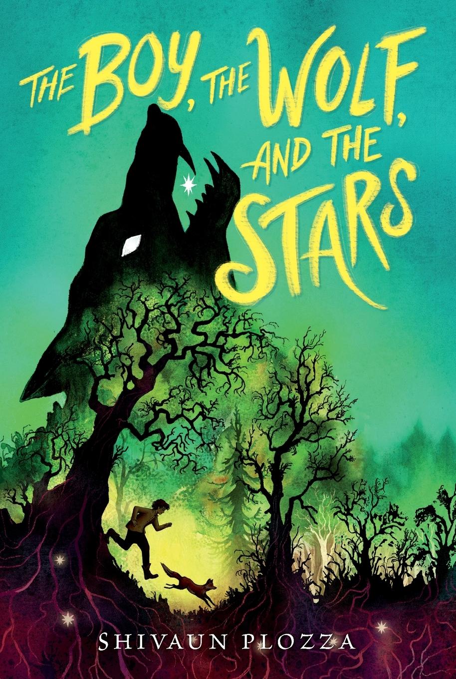 Vorderes Coverbild Boy, the Wolf, and the Stars, The