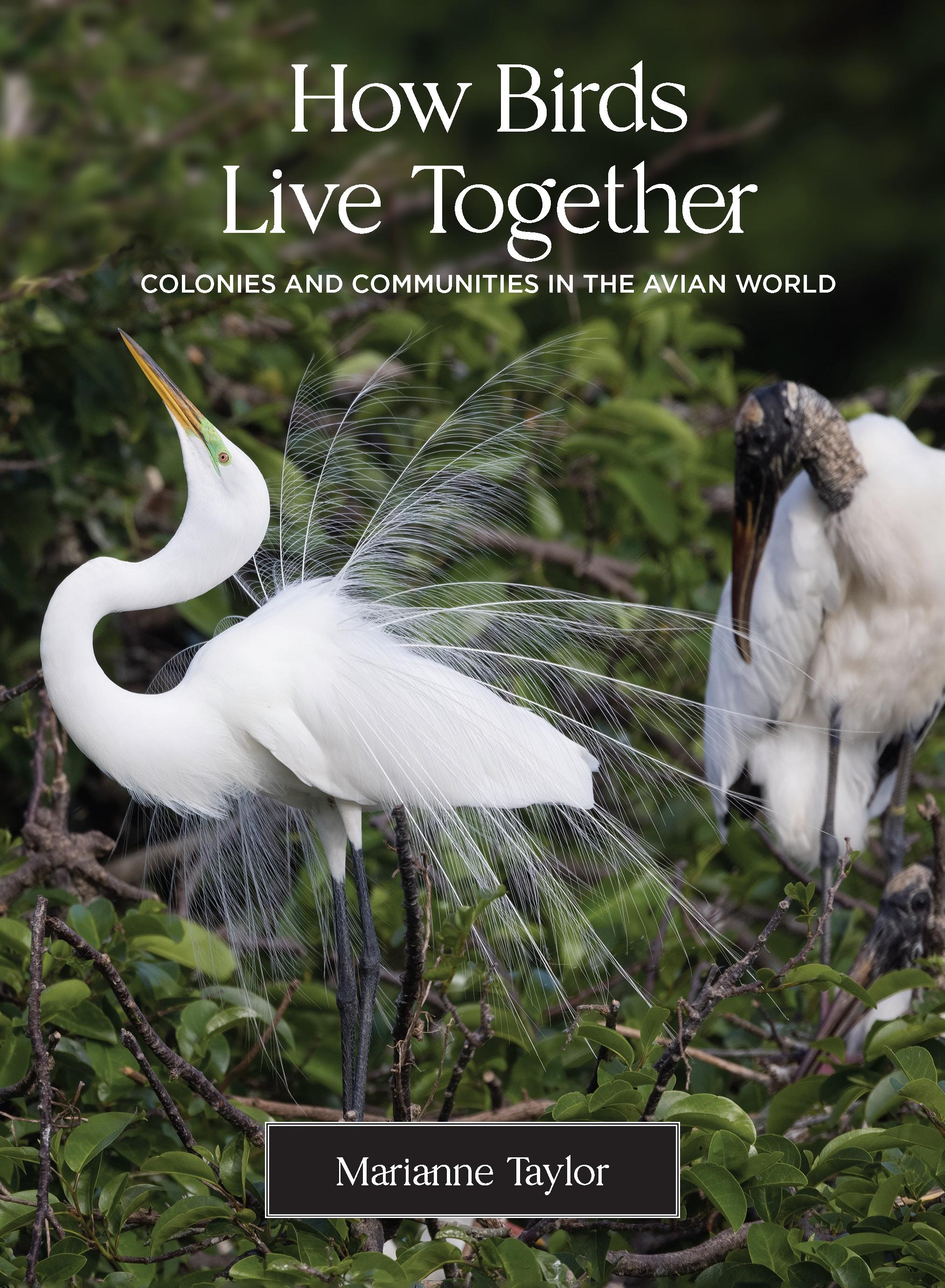 Vorderes Coverbild How Birds Live Together