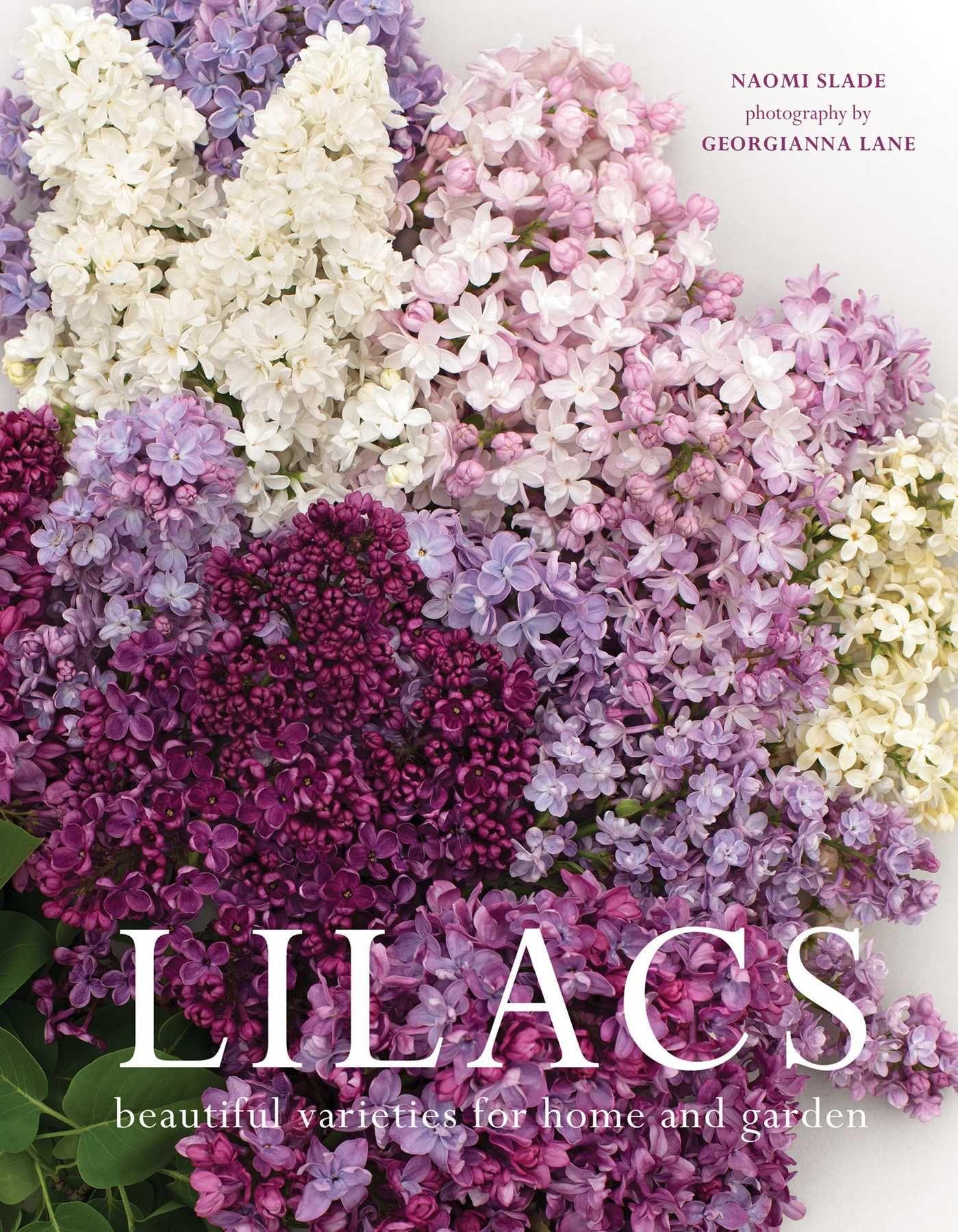 Vorderes Coverbild Lilacs