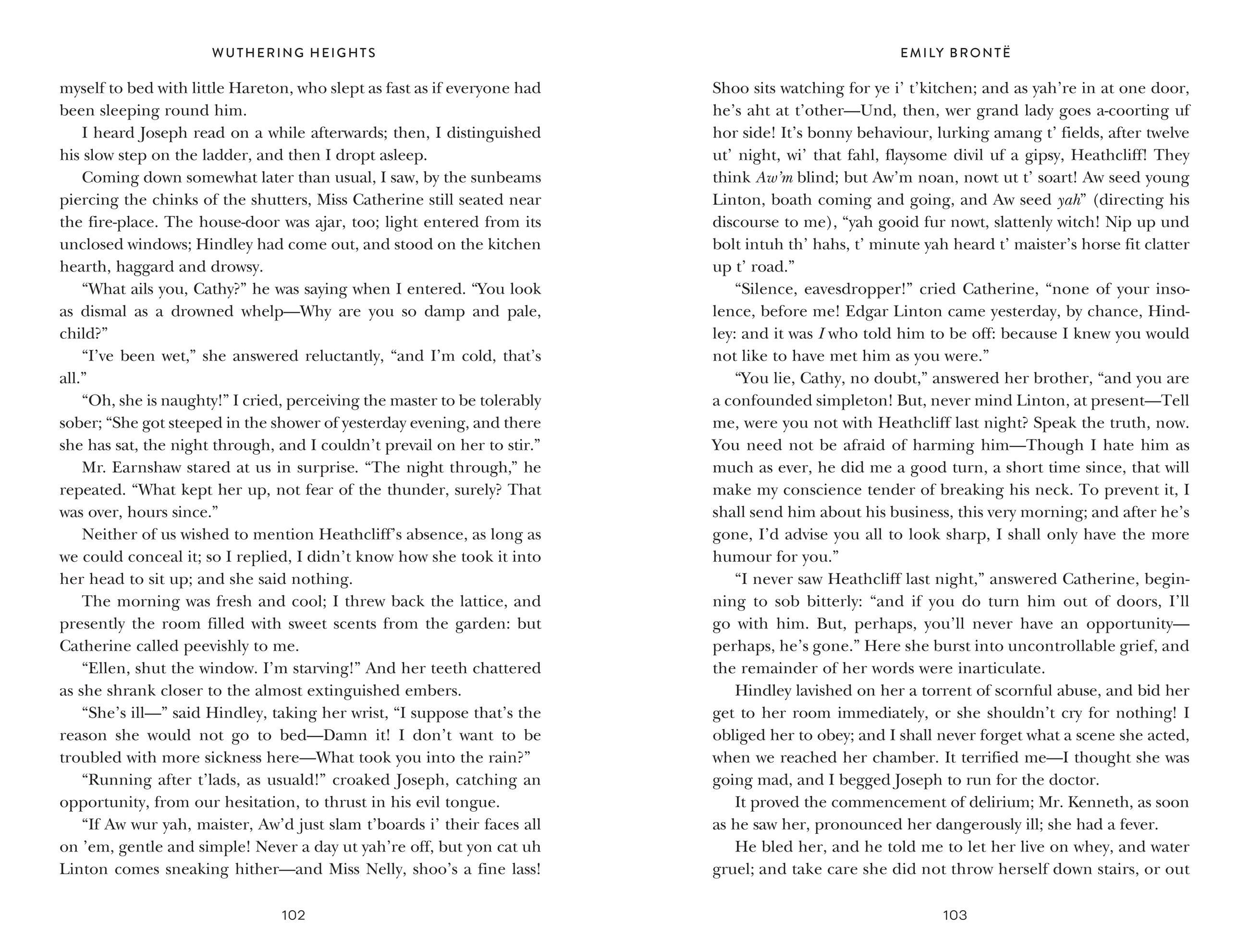 Beispielinhalt (Bild) Wuthering Heights