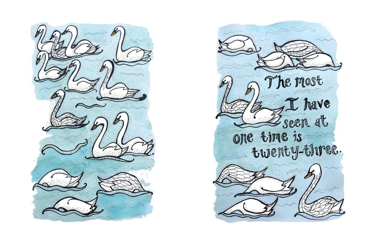 Beispielinhalt (Bild) The Book of Moons & Seasons