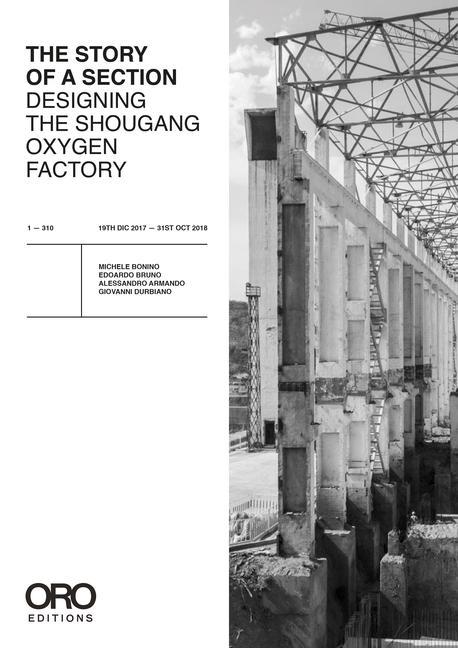 Vorderes Coverbild Designing Shougang, or the Story of a Section