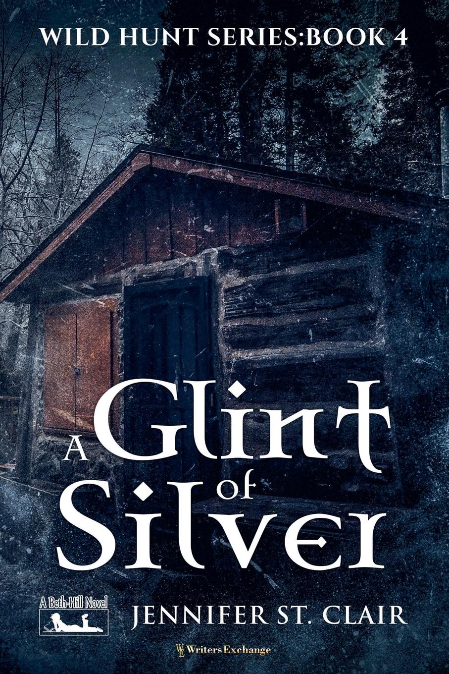 Vorderes Coverbild A Glint of Silver