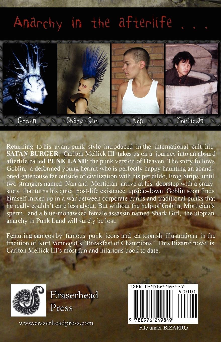 Rückseitencover Punk Land