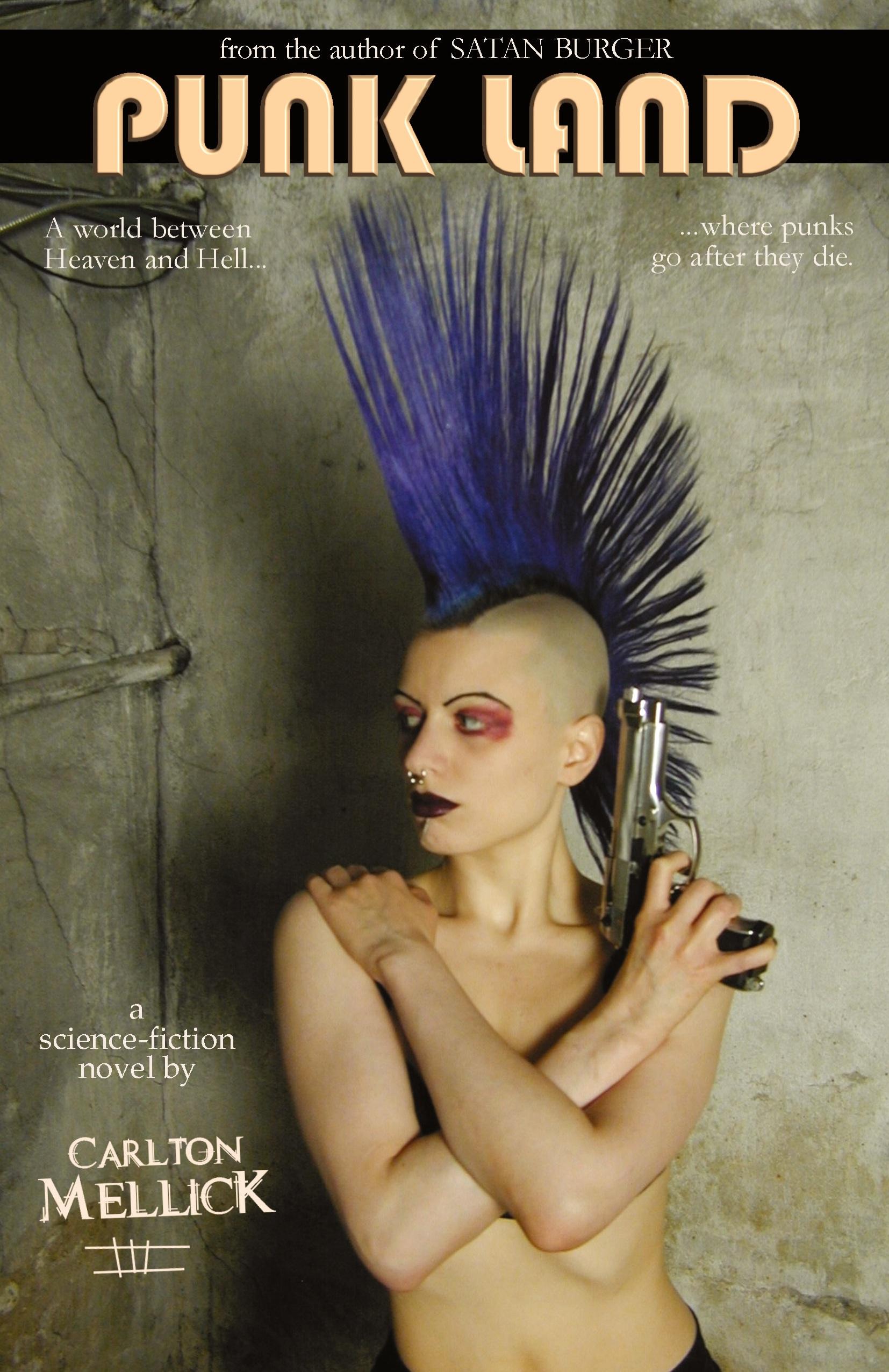 Vorderes Coverbild Punk Land