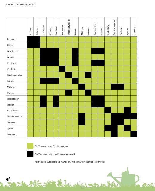 Beispielinhalt (Bild) Hochbeete für jeden Garten: Pflanzen - Pflegen - Ernten