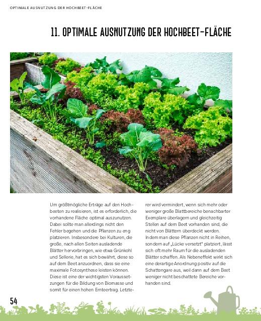 Beispielinhalt (Bild) Hochbeete für jeden Garten: Pflanzen - Pflegen - Ernten