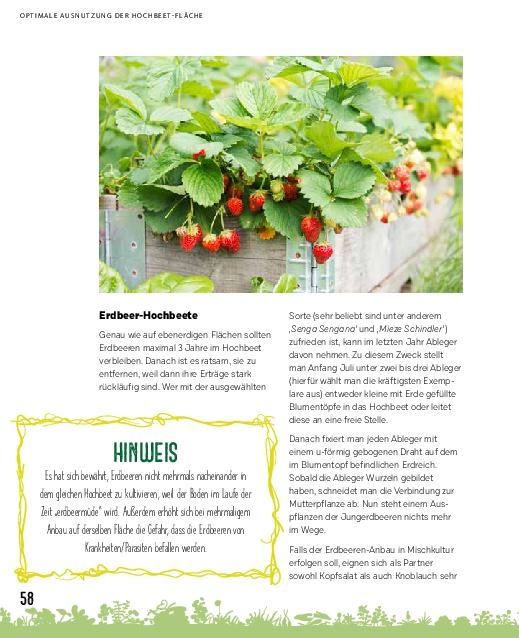 Beispielinhalt (Bild) Hochbeete für jeden Garten: Pflanzen - Pflegen - Ernten