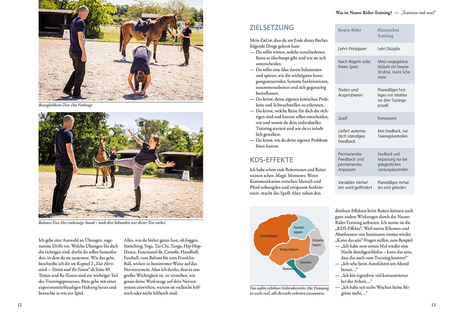 Beispielinhalt (Bild) Neuroathletik für Reiter