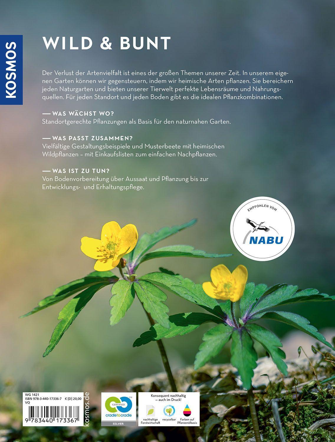 Beispielinhalt (Bild) Wild & bunt