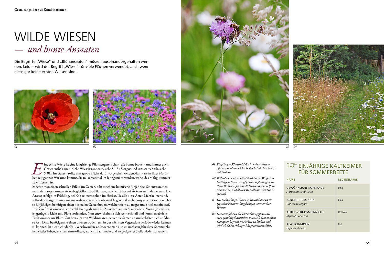 Beispielinhalt (Bild) Wild & bunt