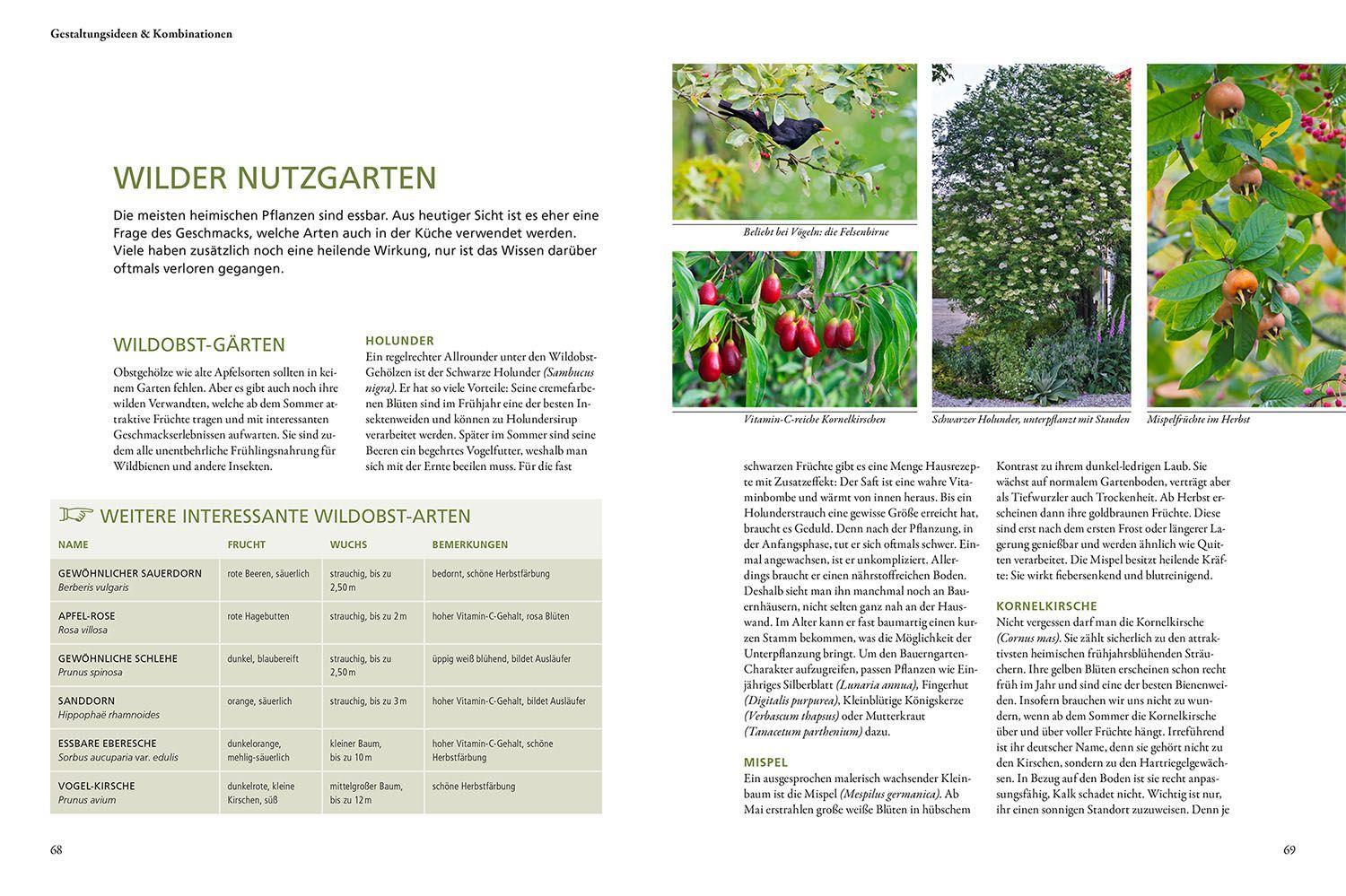 Beispielinhalt (Bild) Wild & bunt