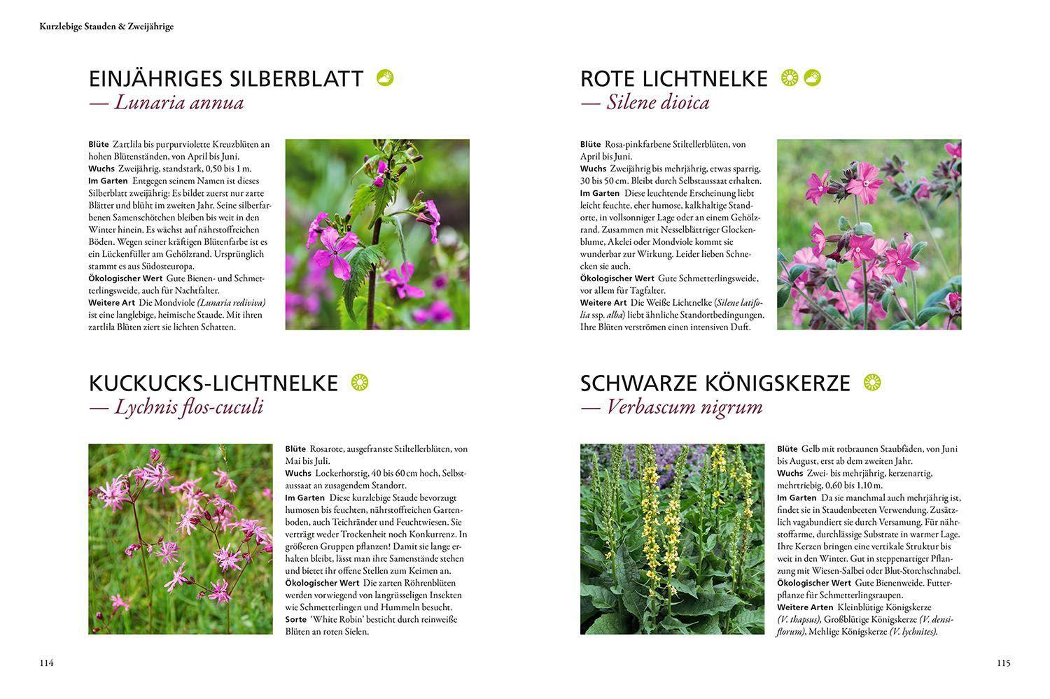 Beispielinhalt (Bild) Wild & bunt