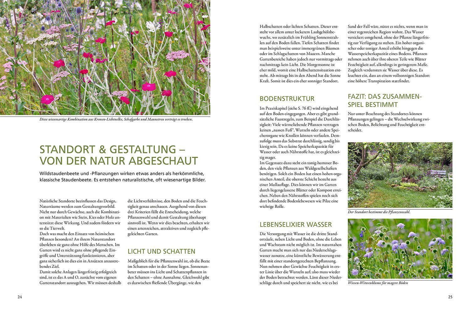 Beispielinhalt (Bild) Wild & bunt