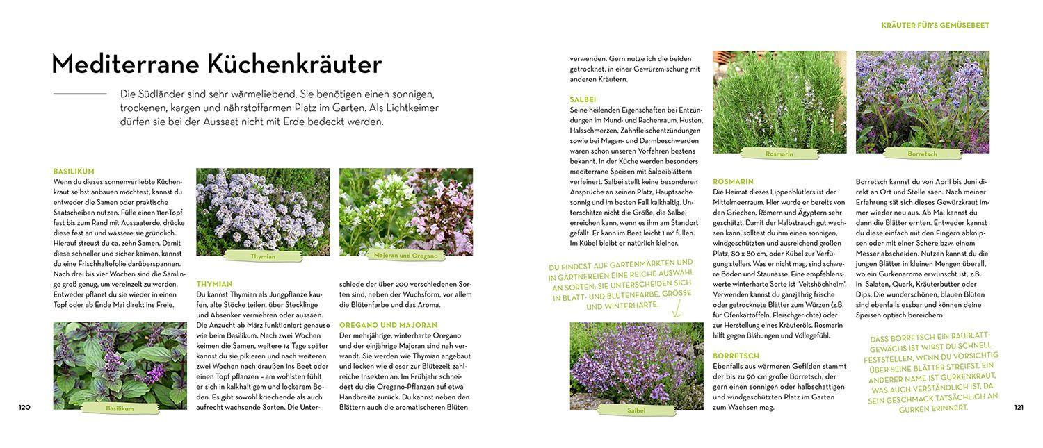 Beispielinhalt (Bild) Was mache ich wann im Gemüsegarten?