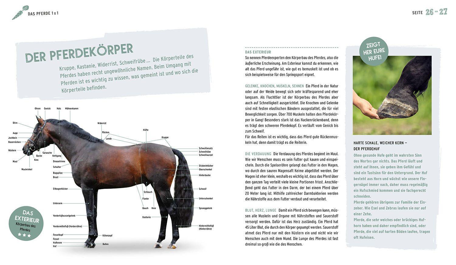 Beispielinhalt (Bild) Das Pferdebuch für Kids