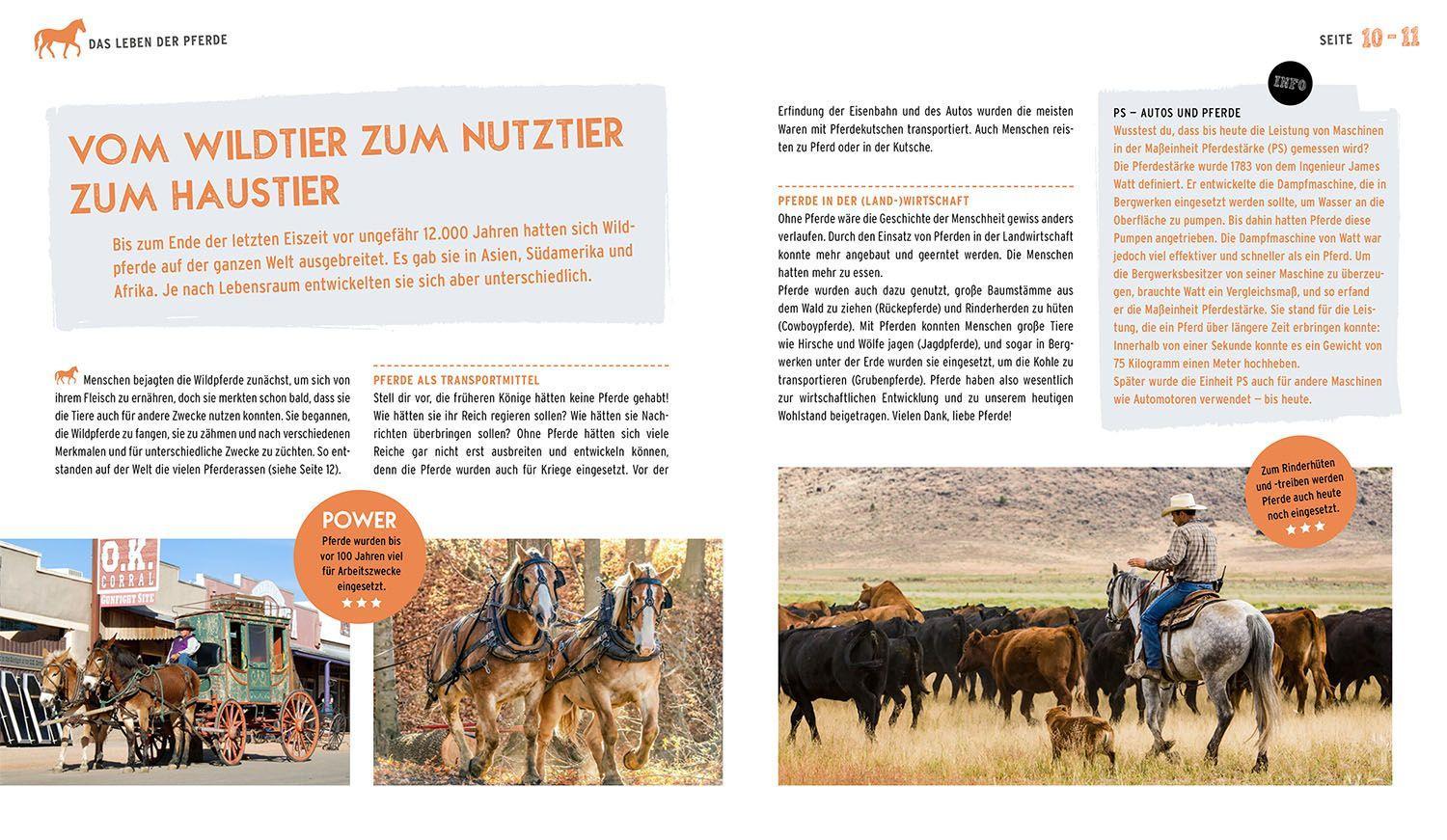 Beispielinhalt (Bild) Das Pferdebuch für Kids
