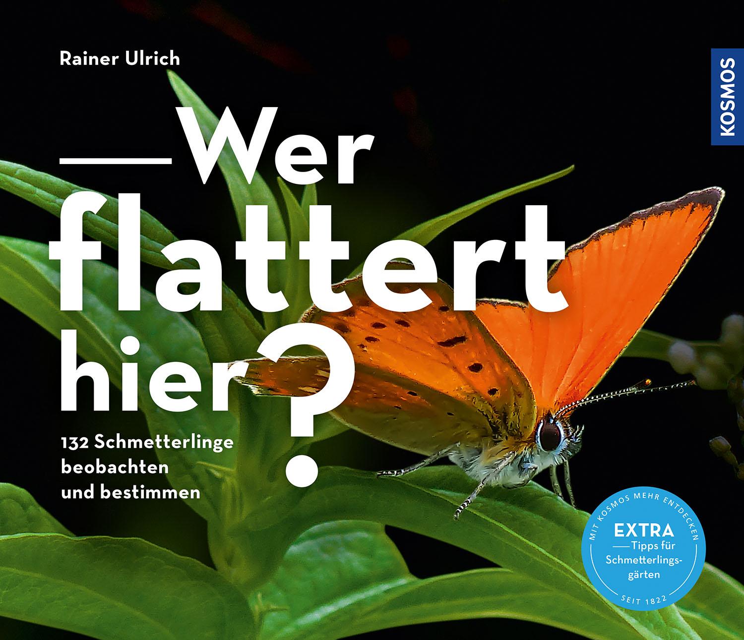 Vorderes Coverbild Wer flattert hier