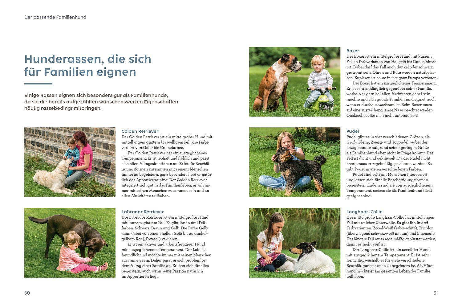 Beispielinhalt (Bild) Hund und Kind - mit Martin Rütter
