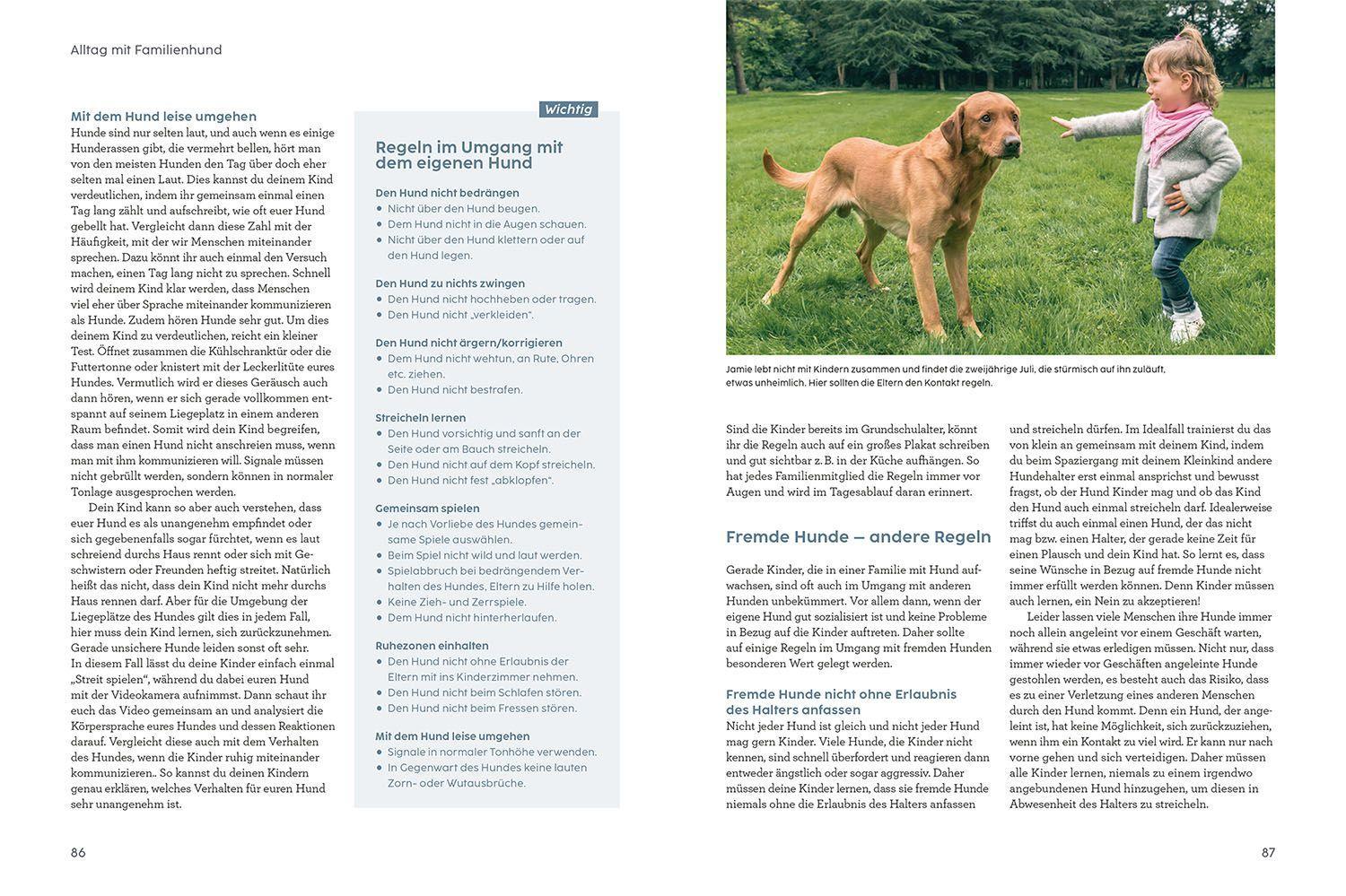 Beispielinhalt (Bild) Hund und Kind - mit Martin Rütter