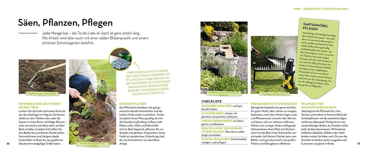 Beispielinhalt (Bild) Wächst das von allein - oder muss ich jetzt was machen?